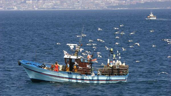 Celebra el Día Mundial del Pescador en Arrocería La Marina